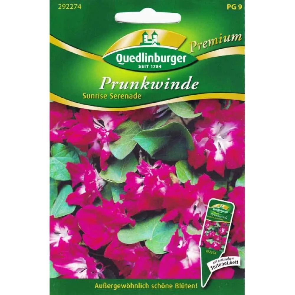 Prunkwinde Samen, Kletterpflanze schnellwachsend, Sunrise Serenade