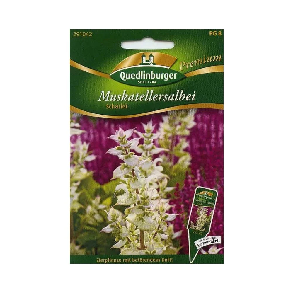 Muskatellersalbei kaufen, Salbei