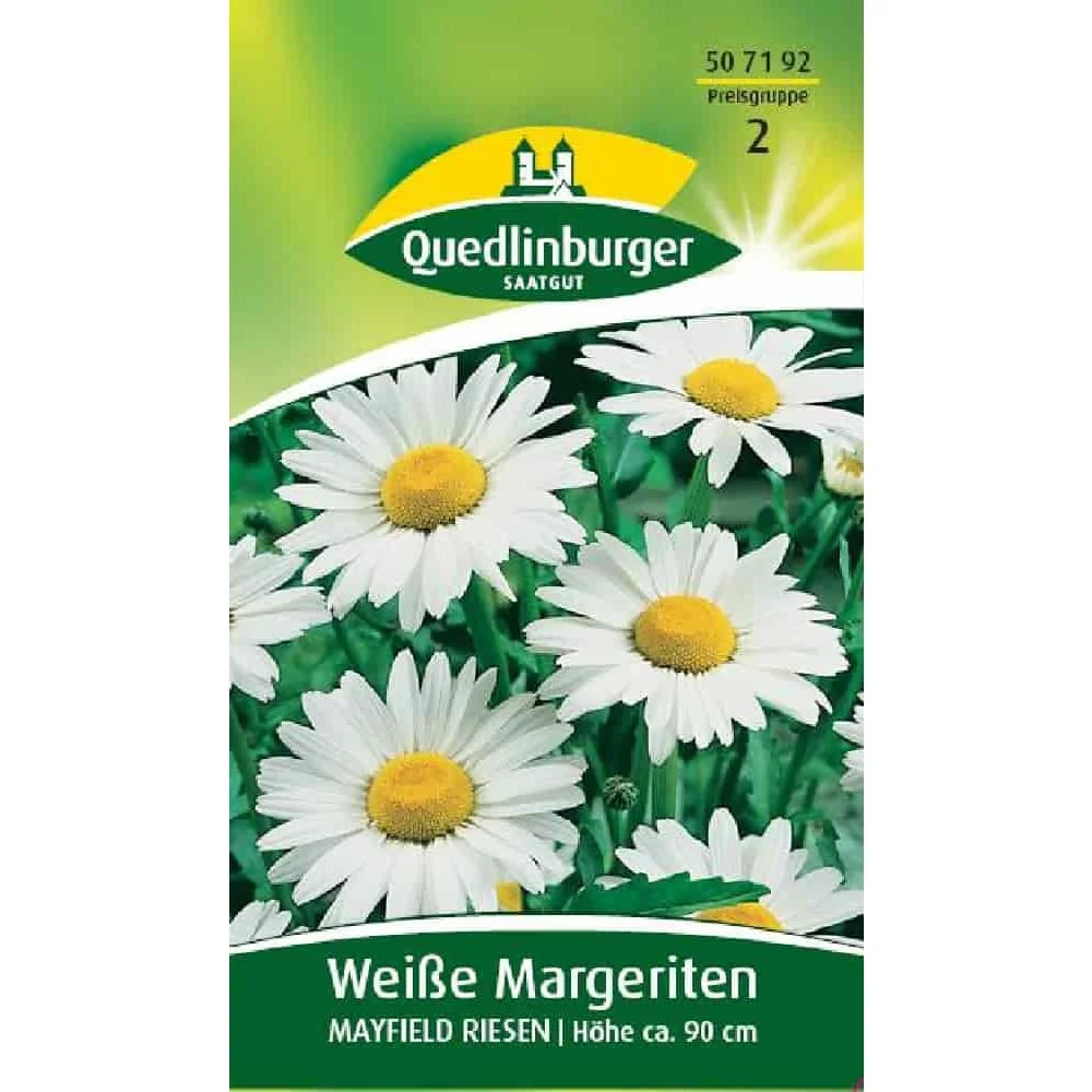 Margeriten kaufen, weiße Margeriten, Mayfield Riesen