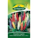 Lupinen kaufen, Stauden-Lupine, Russels Hybridmischung, Boni-Shop