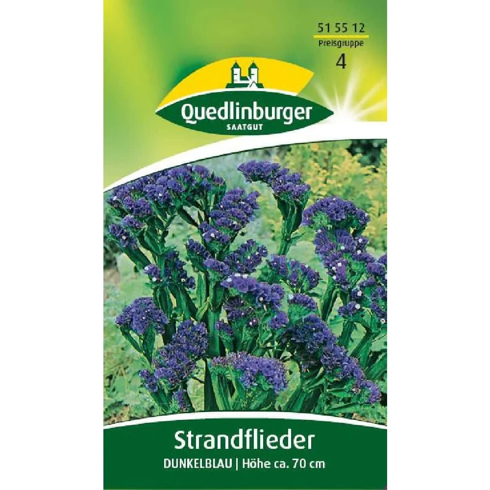 Strandflieder dunkelblau, Boni-Shop, Schnittblume, Trockenblume