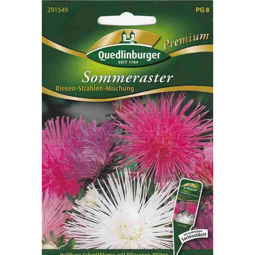 Sommerastern Samen, Riesen Strahlen Mischung, Schnittblumen