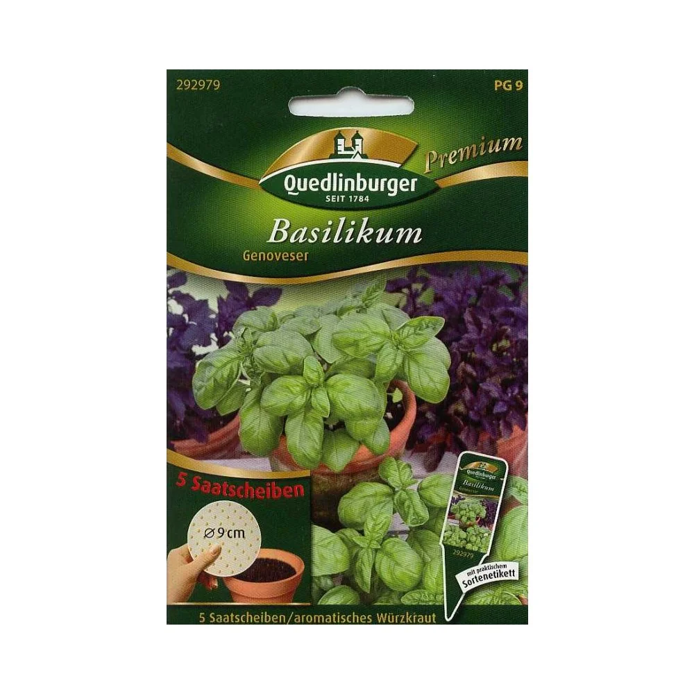 Basilikum Genoveser Saatscheibe, Basilikumsamen, einfache Aussaat