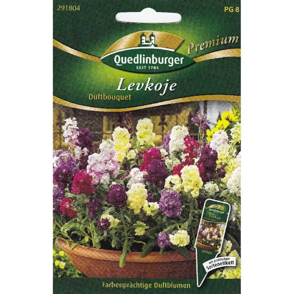 Levkojen Samen, Sommerblumen, Duftbouquet