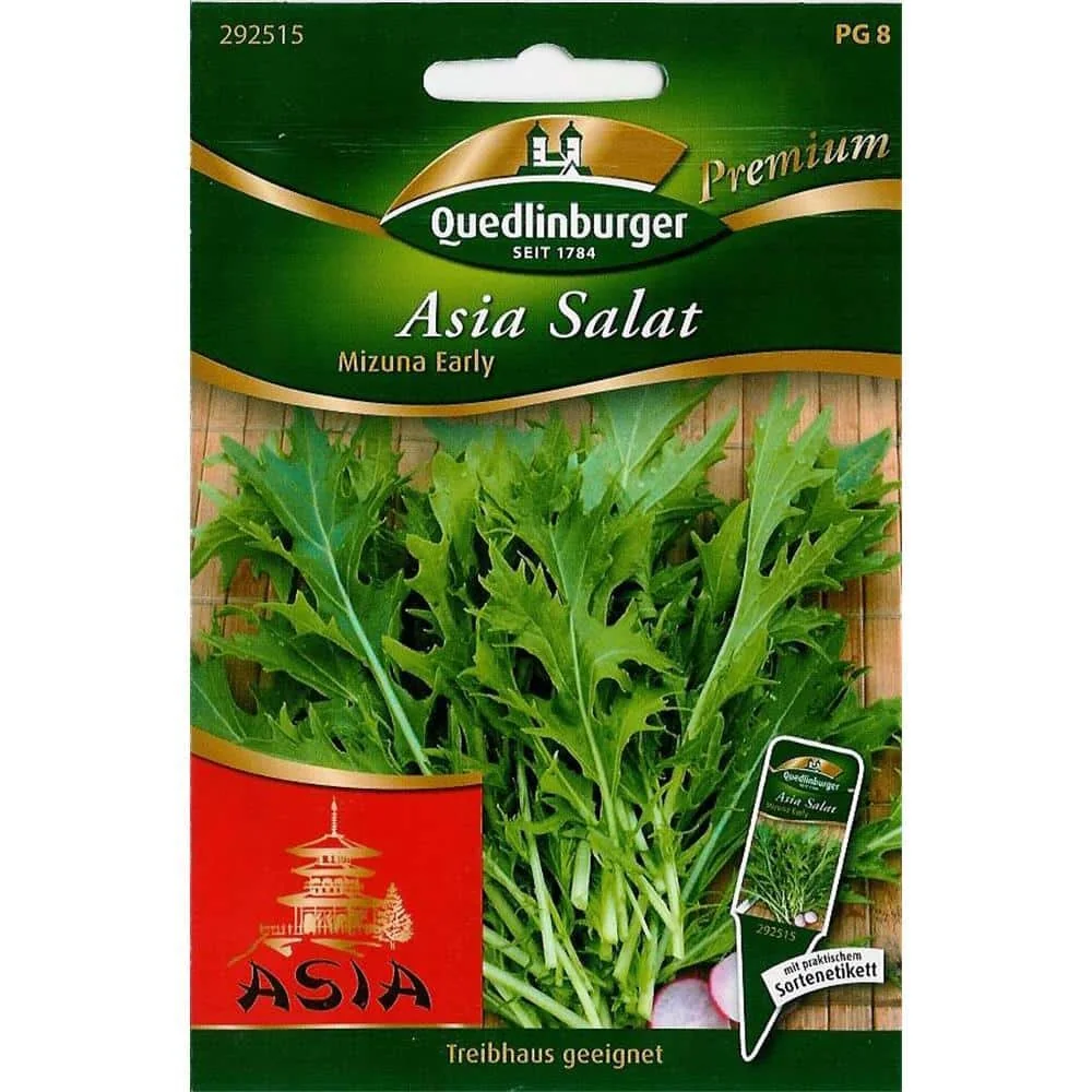 Asiasalat, Mizuna Salat, Salatsamen, Blattgemüse, Early