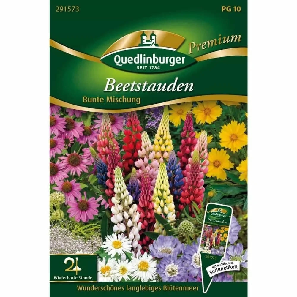 Beetstauden, bunte Mischung, mehrjährige Pflanzen