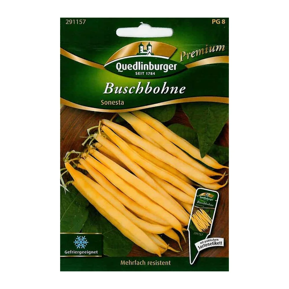 Buschbohnen kaufen, Sonesta, gelbe Wachsbohne