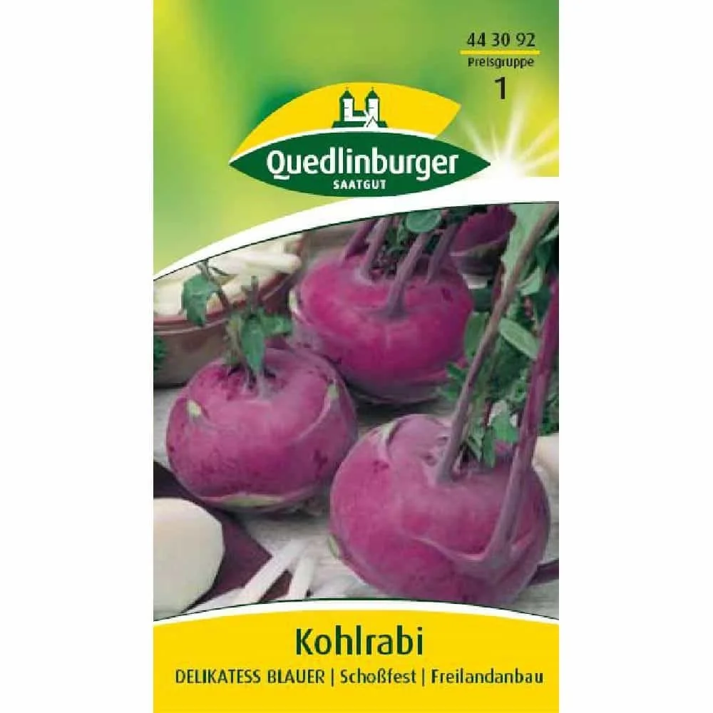 Kohlrabi Saatgut, Blauer Delikatess Kohlrabi online kaufen