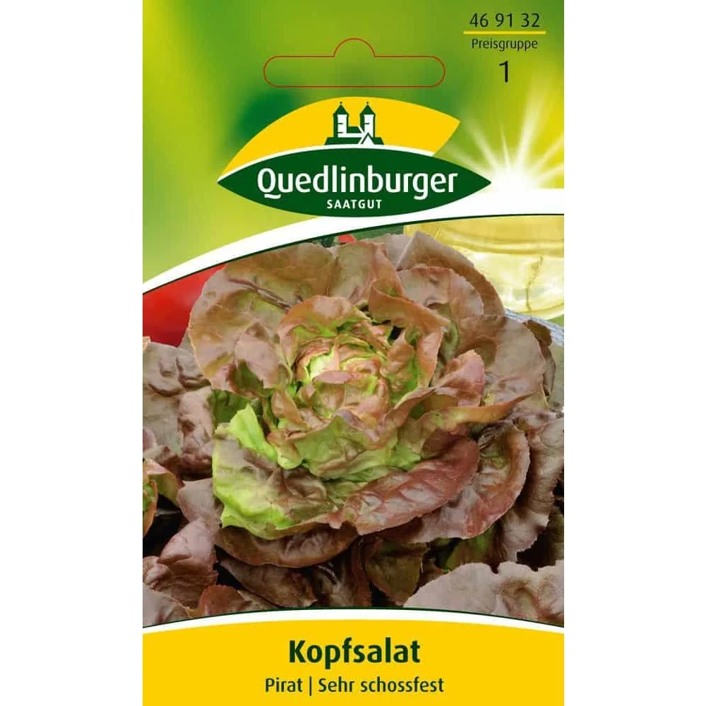 Kopfsalat, Sorte Pirat, Salat pflanzen