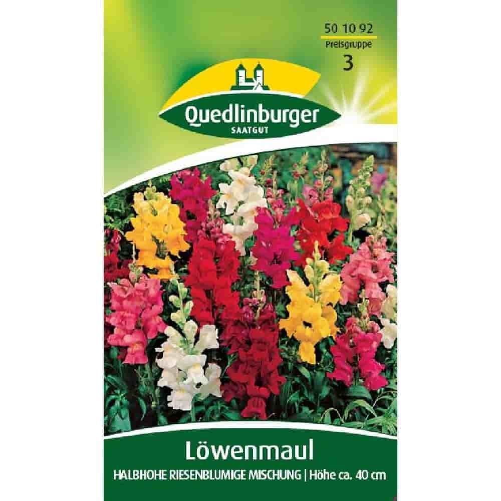 Löwenmaul Samen, Blumensamen Mischung, Halbhohe Blumen