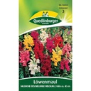 Löwenmaul Samen, Blumensamen Mischung, Halbhohe Blumen