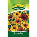 Sonnenhut Herbstwald, Sommerblume, Bienenfreundlich