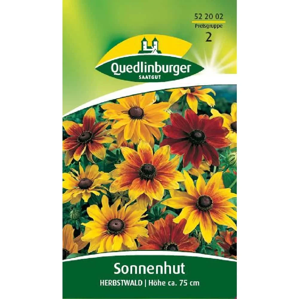 Sonnenhut Herbstwald, Sommerblume, Bienenfreundlich
