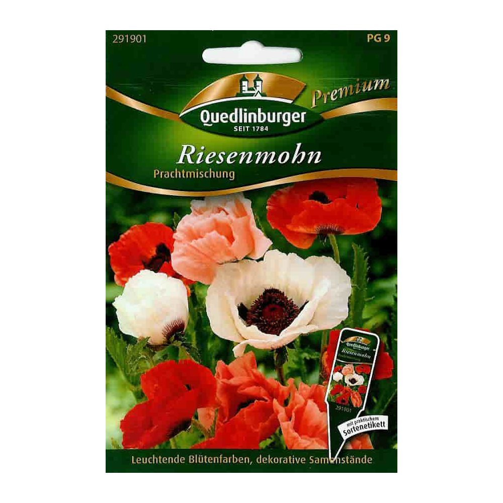 Riesenmohn, Mohnblume, Prachtmischung, mehrjährig, Sommerblüte