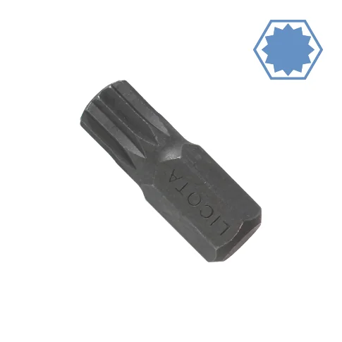 M6 Spline Bit, 10mm Hex Bit, Vielzahn