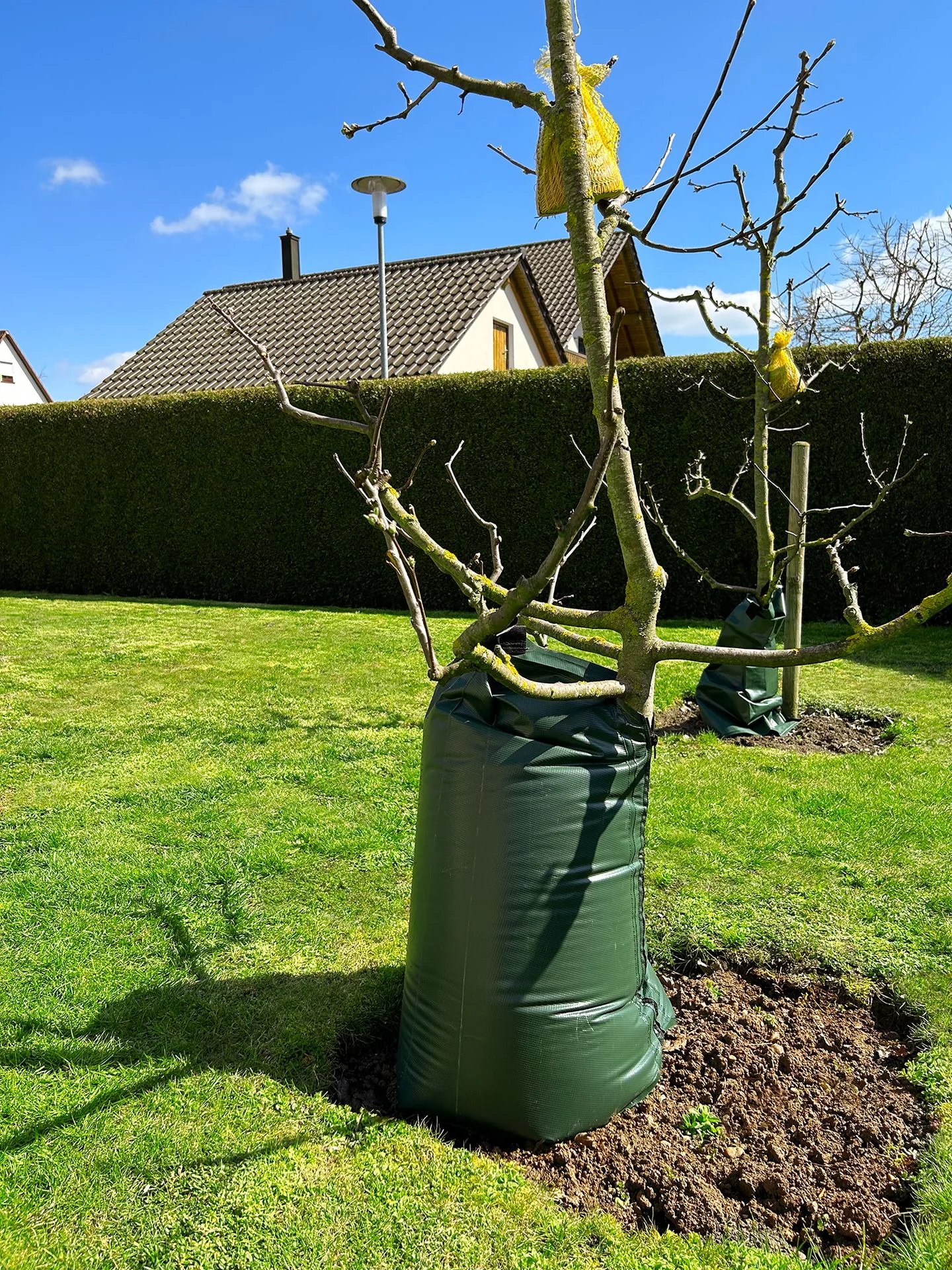 Baumbewässerungssack, Bewässerungssack, Baum Bewässerung - 77 Liter