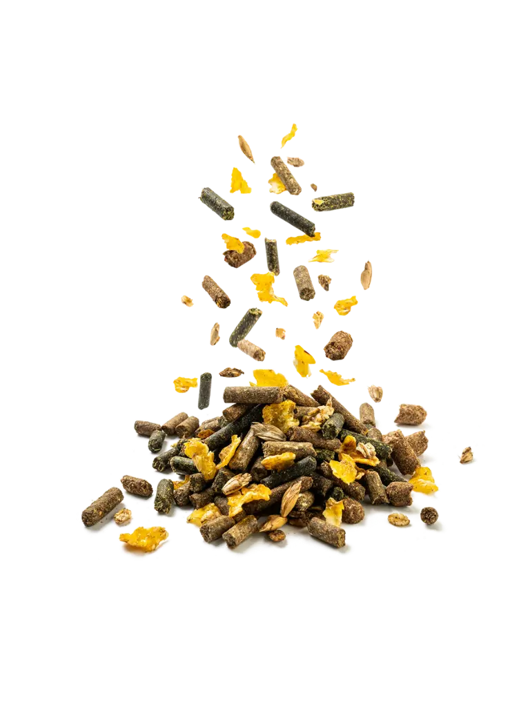 Fohlenfutter 20kg, Stutenfutter, energiereiches Pferdefutter, Pferdezucht Futter