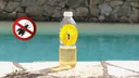 Wespenfalle für Flaschen, 6er-Set