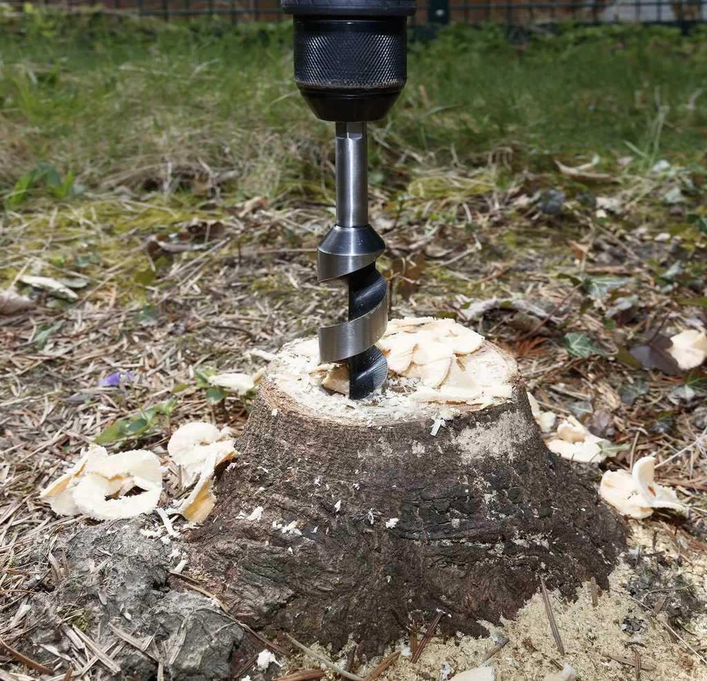 Schlangenbohrer Set, 5-teilig