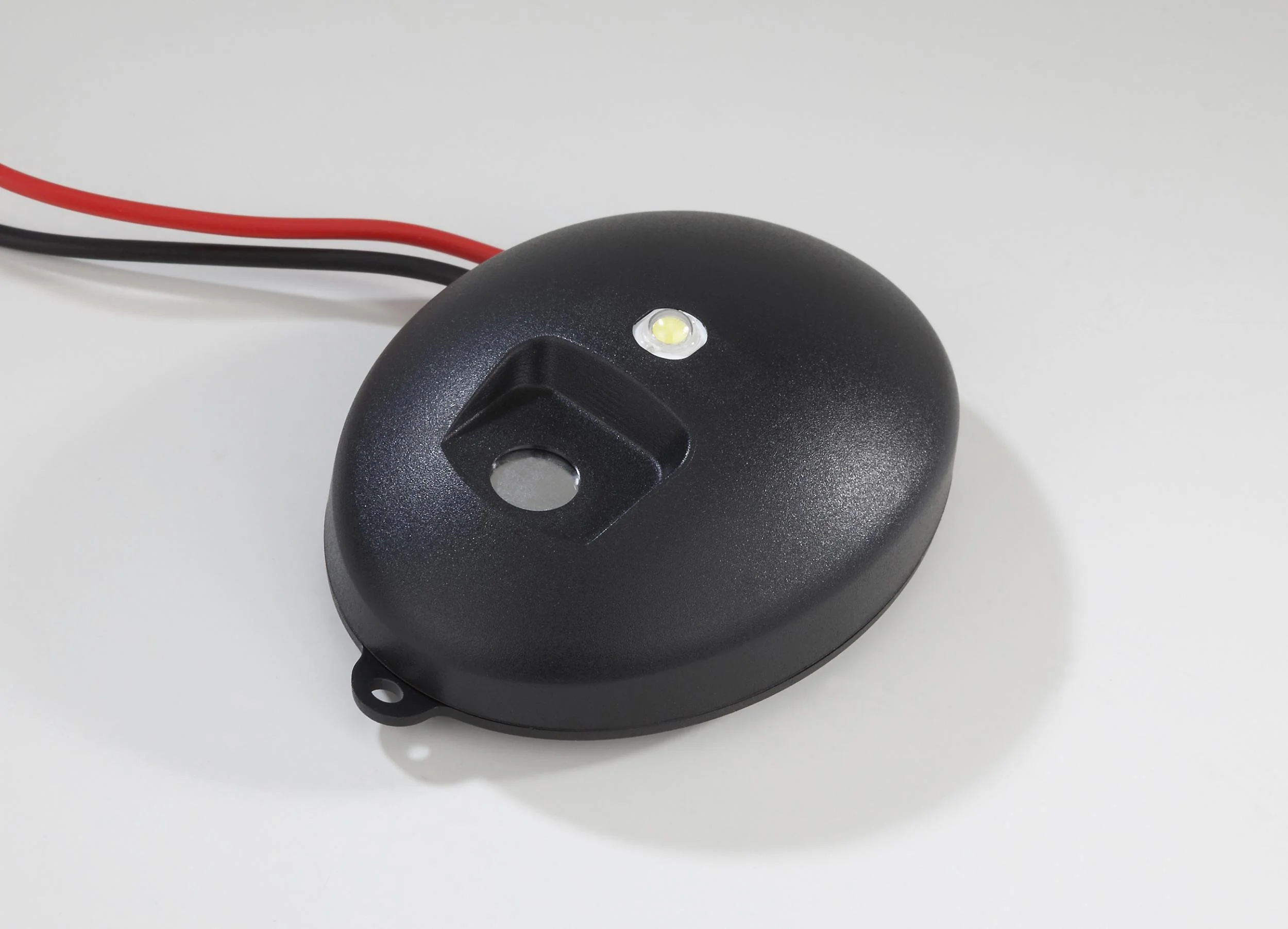 KFZ Marder Frei/LED Blitzlicht 12 Volt