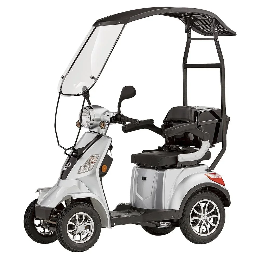 4-Rad E-Mobil Palermo 15 km/h silber inklusive Wind-und Wetterschutz