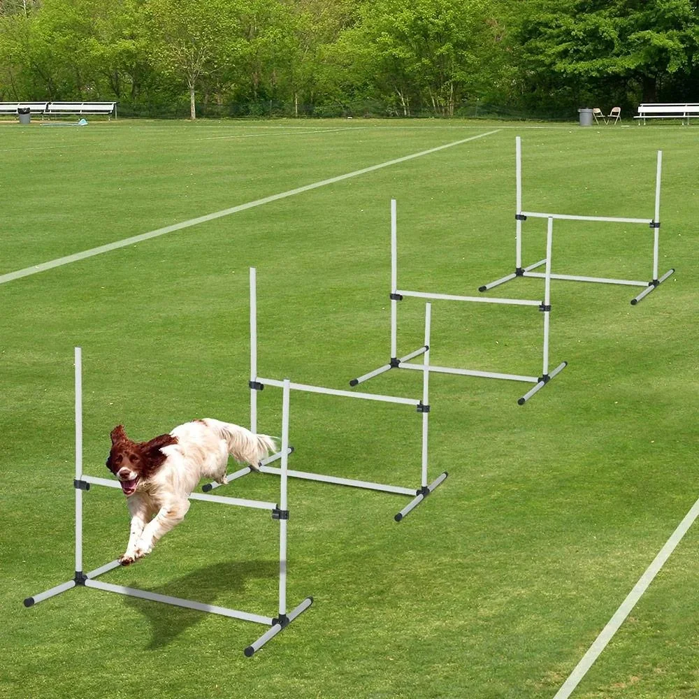 Agility Hürdenset als 4er Set weiß