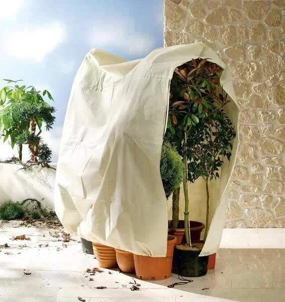Jumbo Kübelpflanzen Sack, 240 x 200 cm - Schutz im Winter bei Frost