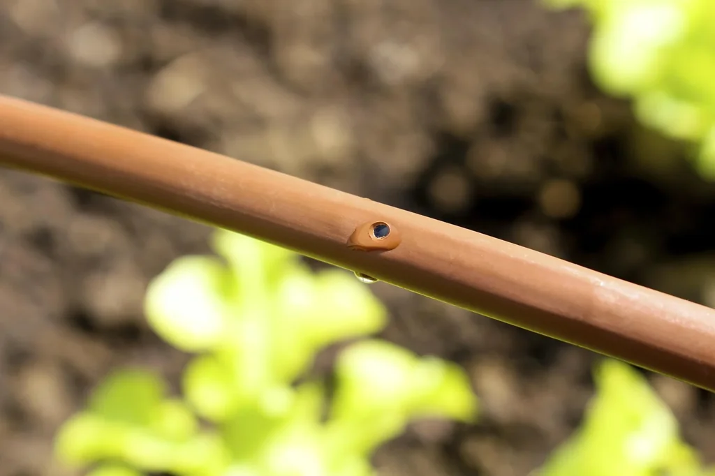 Tropfschlauch (DP30)