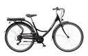 Unisex City E-Bike 28 Zoll, Rahmenhöhe 49 cm, 7-Gang Kettenschaltung, schwarz, Teutoburg Senne, Wave XXL