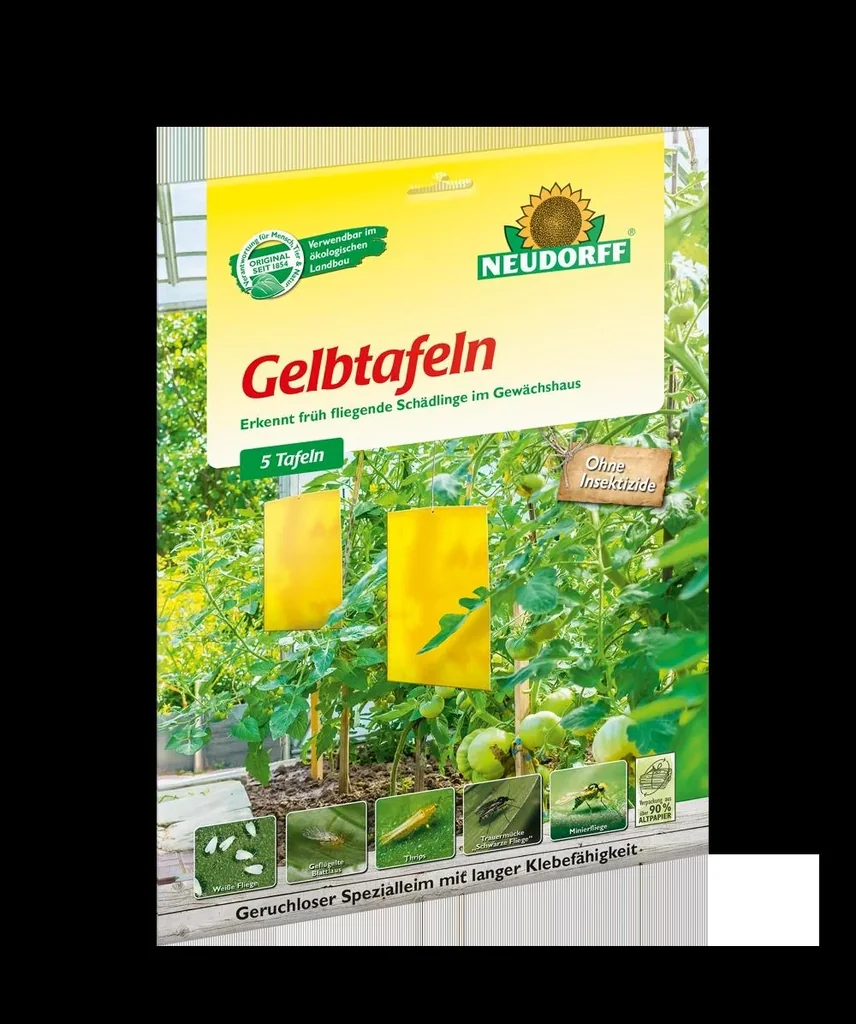Gelbtafeln groß, 5er Pack