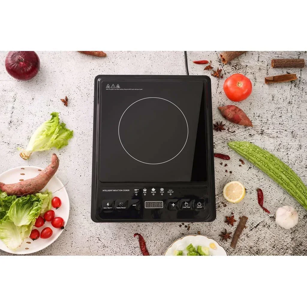 Einfaches Induktionskochfeld - Freistehend - 2000W