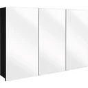 Concept Spiegelschrank 100cm schwartz fsc