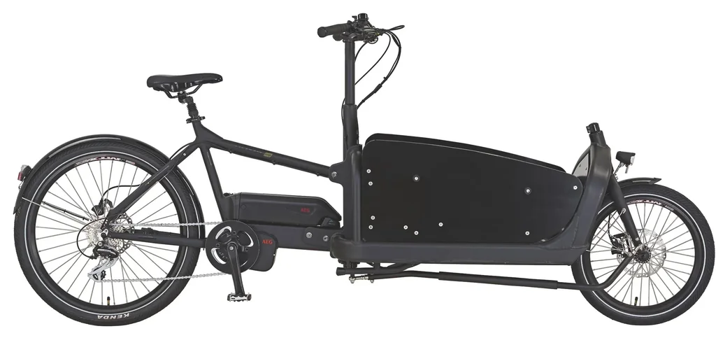 Unisex E-Bike 20"/26 Zoll, Rahmenhöhe 48 cm, 8-Gang Kettenschaltung, schwarz matt, CARGO Plus 22.ETL.20