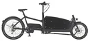 Unisex E-Bike 20"/26 Zoll, Rahmenhöhe 48 cm, 8-Gang Kettenschaltung, schwarz matt, CARGO Plus 22.ETL.20