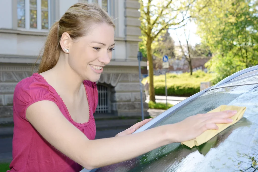 Saugtuch, PVA, mit Box