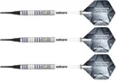 Silver Star Gary Anderson Soft Darts