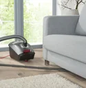 Segment- Staubschwert ,8 teilig mit 2 Anschlussadapter