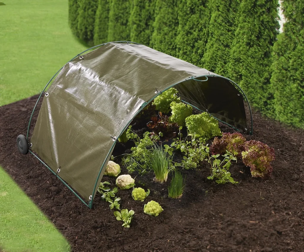 Frühbeet + Hühnertunnel Starter Set