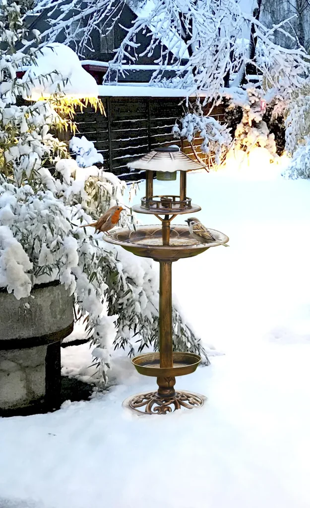 Solar Vogel-Bad 4in1, Bronze