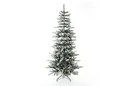 Cedar Kiefer Frost 210 cm
