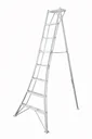 3-Holm-Gartenleiter, 240 cm