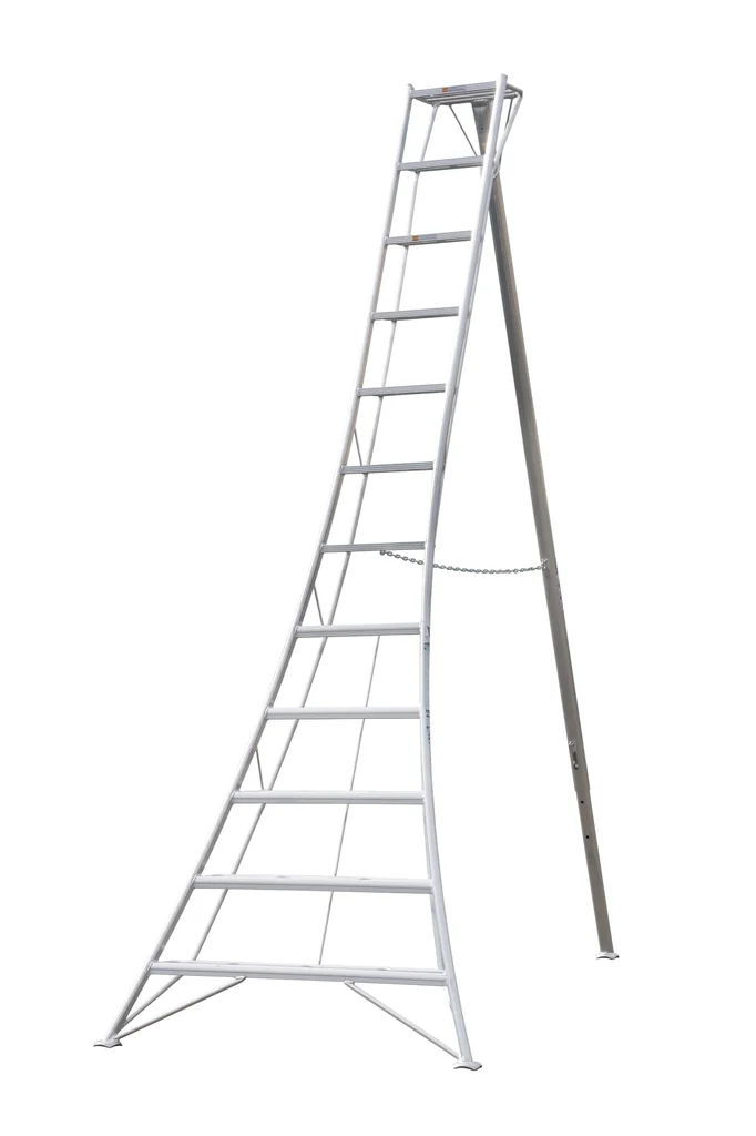 3-Holm-Gartenleiter 360 cm