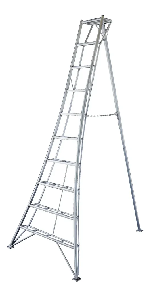 3-Holm-Gartenleiter, 300 cm