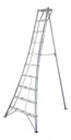 3-Holm-Gartenleiter, 300 cm