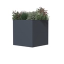 Westmann Pflanzkasten Talus S Metall anthrazit