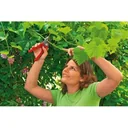 Astschere Comfort Plus RS 2500 - Amboss - max. Schneiddurchmesser 25 mm - links- und rechtshändig - Schneidwinkel 30