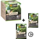 BIO Kastenmottenfalle - 1 STUK - inkl. Kastenmottenfalle Nachfüllpackung 6 Stück