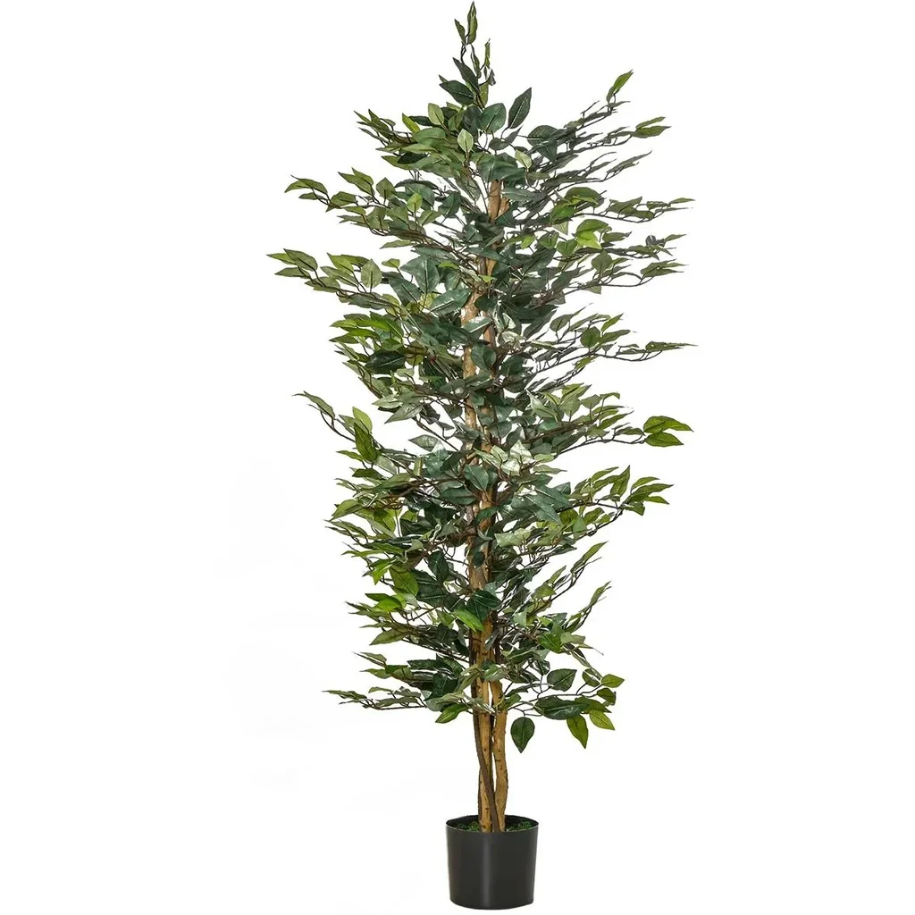 Lorbeerkirsche, Prunus lauroc. "Caucasica", für 5 m Hecke, 60-80 cm hoch, 7 Liter Topf, 10 Stück im Set