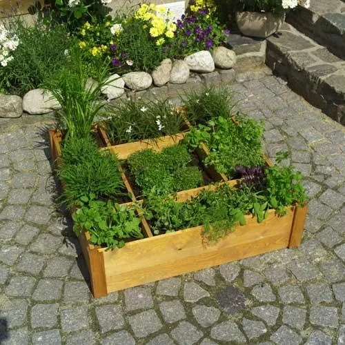 Kräuterbeet