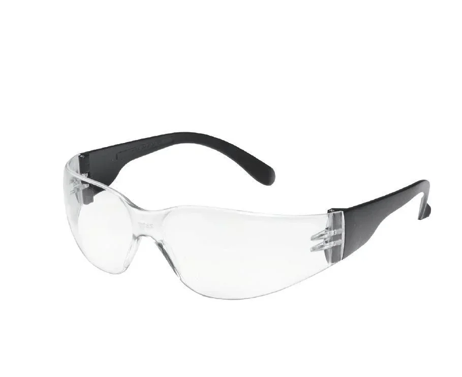 Schutzbrille Champ Tector, Scheibe klar